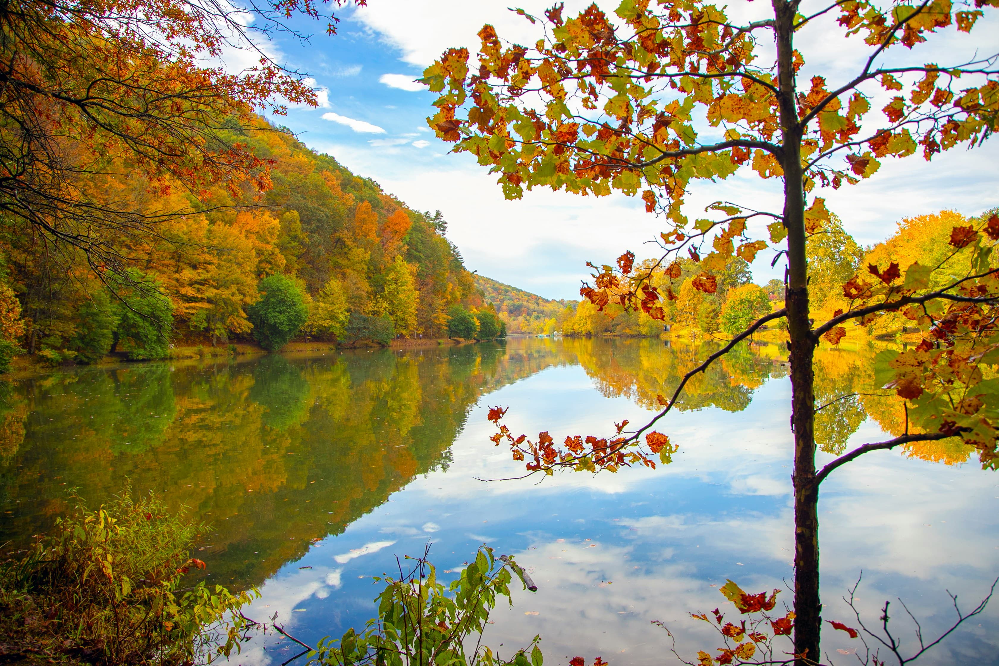 Bristol, TN — local guide
