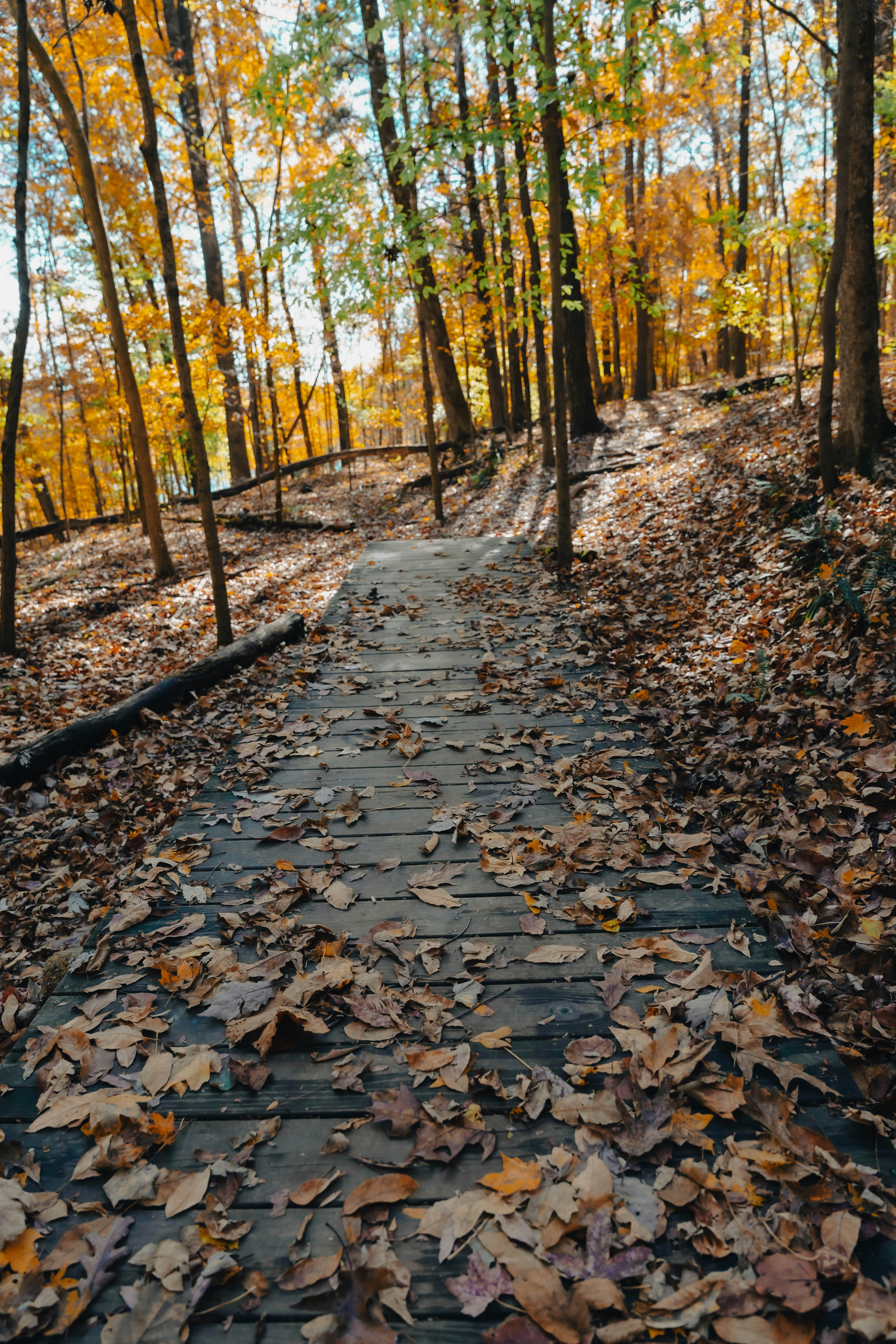 Clarksville, TN — local guide