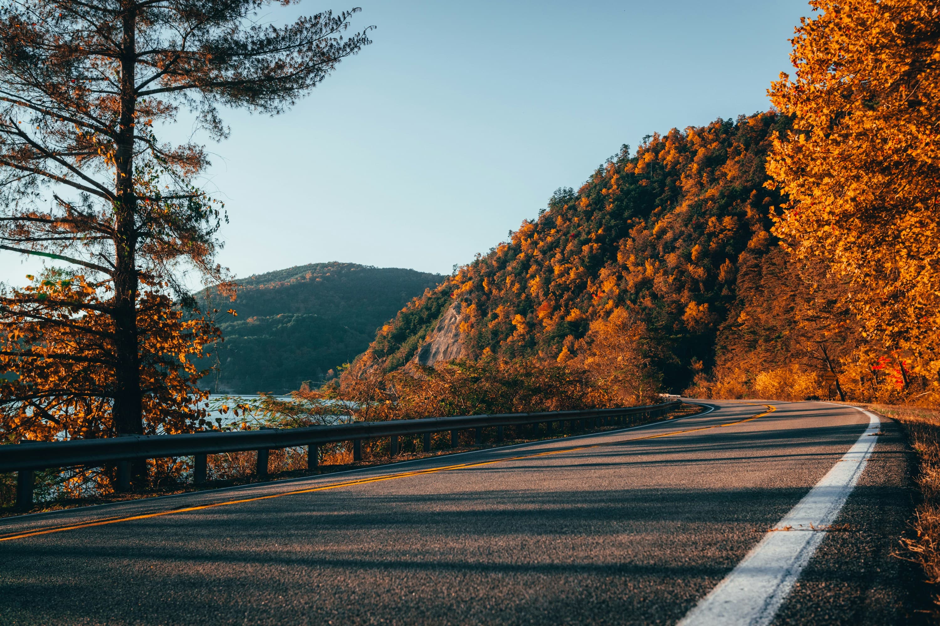 Spring Hill, TN — local guide